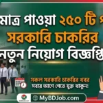এইমাত্র পাওয়া ২৫০ টি পদে সরকারি চাকরির নতুন নিয়োগ বিজ্ঞপ্তি | Mybdjob নির্ভরযোগ্য প্রতিষ্ঠান